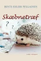 Skæbnetræf af Bente Ehlers Willadsen