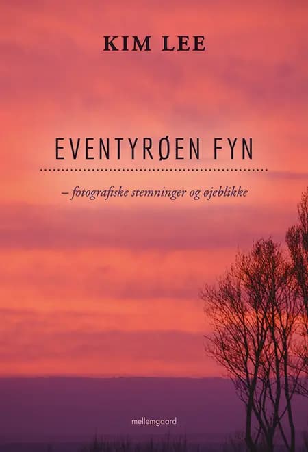 Eventyrøen Fyn af Kim Lee
