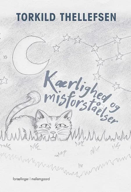Kærlighed og misforståelser af Torkild Thellefsen