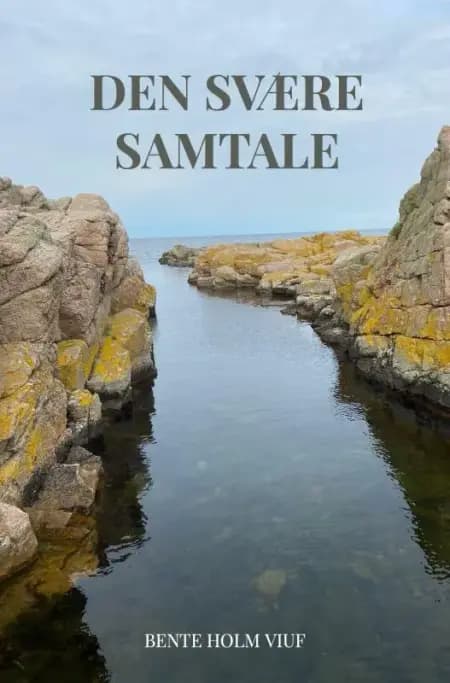 Den svære samtale af Bente Holm Viuf