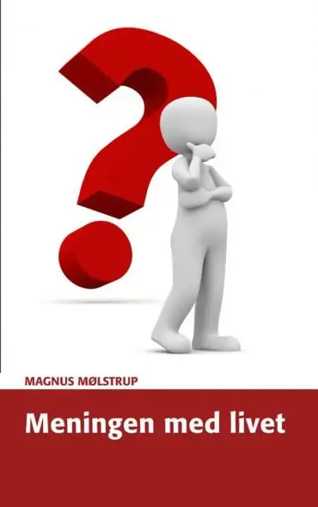 Meningen med livet af Magnus Mølstrup
