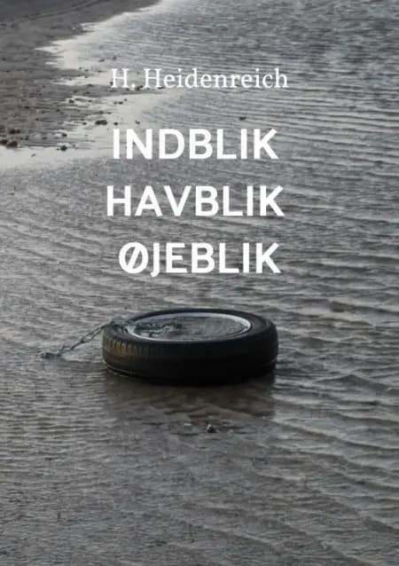 Indblik Havblik Øjeblik af H. Heidenreich
