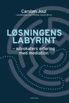Løsningens labyrint af Carsten Juul og Thomas Samsø Bloch