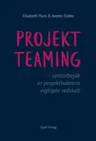 Projektteaming