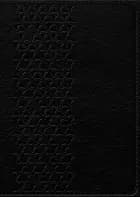 Bibelen på Hverdagsdansk, sort, ægte læder