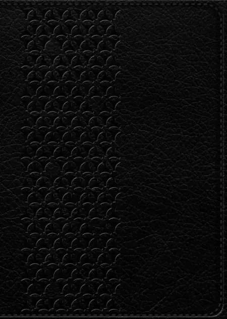 Bibelen på Hverdagsdansk, sort, ægte læder