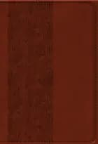 Bibelen på Hverdagsdansk, brun, PU