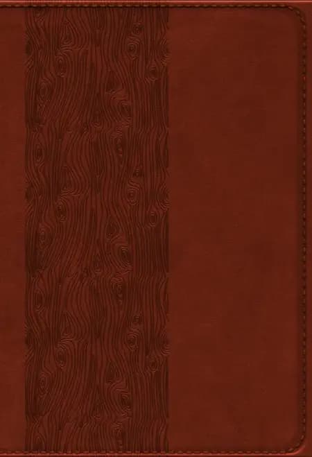 Bibelen på Hverdagsdansk, brun, PU
