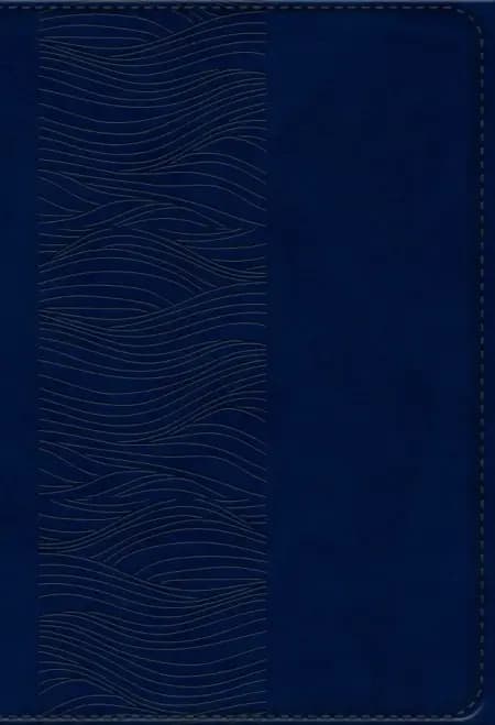Bibelen på Hverdagsdansk, navy, PU