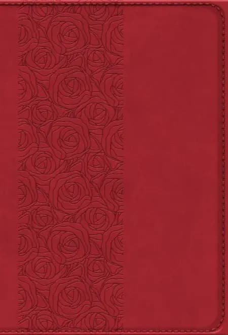 Bibelen på Hverdagsdansk, vinrød, PU