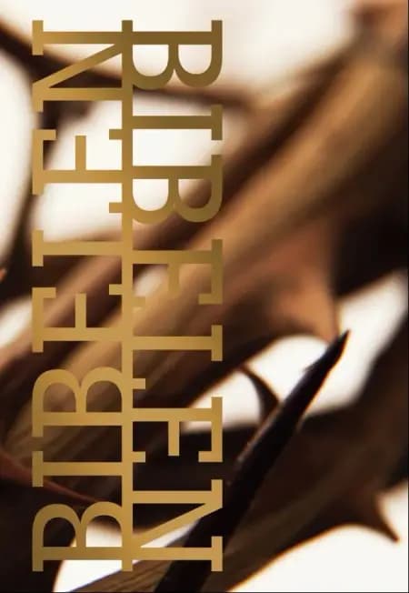 Bibelen på Hverdagsdansk, indbunden, torne