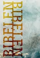 Bibelen på Hverdagsdansk, paperback, frost