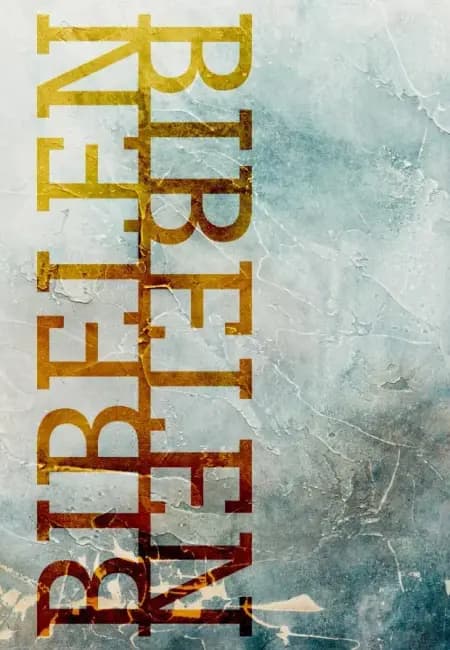 Bibelen på Hverdagsdansk, paperback, frost