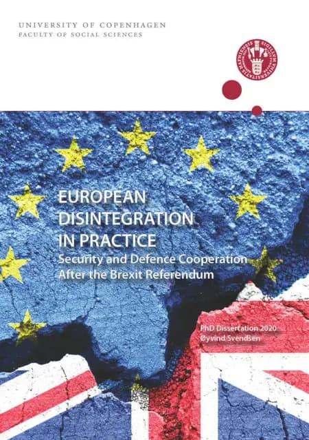 EUROPEAN DISINTEGRATION IN PRACTICE af Øyvind Svendsen