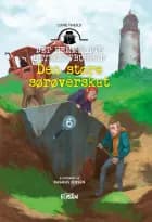 Den store sørøverskat af Lone Theils