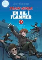 En bil i flammer af Jakob Thyregod Scheuer
