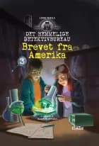 Brevet fra Amerika af Lone Theils