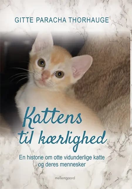 Kattens til kærlighed af Gitte Paracha Thorhauge