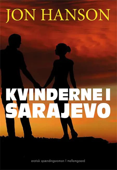 Kvinderne i Sarajevo af Jon Hanson