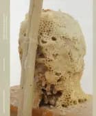 Emil Westman Hertz af Nanna Stjernholm Jepsen