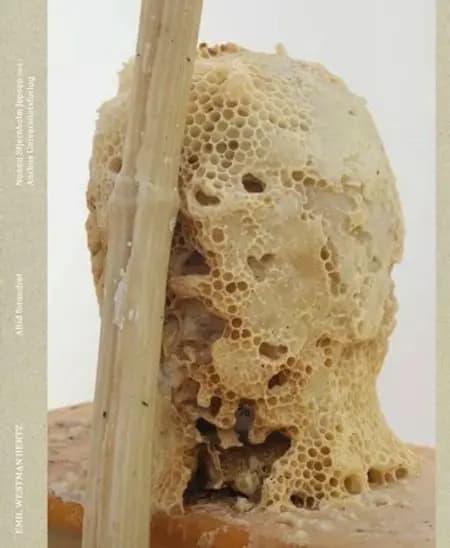 Emil Westman Hertz af Nanna Stjernholm Jepsen