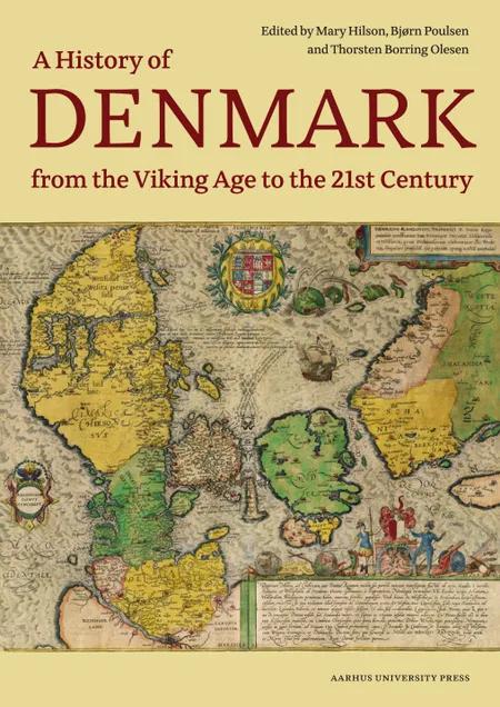 A History of Denmark from the Viking Age to the 21st Century af Søren Michael Sindbæk