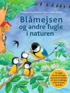 Blåmejsen og andre fugle i naturen af Friederun Reichenstetter