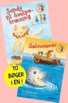 Sandy til hvalpetræning og Sælsommer af Lin Hallberg