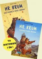 Hr. Brum ser fodbold hver lørdag og Hr. Brum vandrer hver onsdag af Daniel Napp