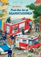 Hvad sker der på brandstationen? af Guido Wandrey