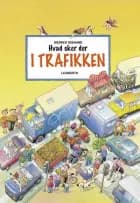Hvad sker der i trafikken? af Wilfried Gebhard