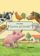Dyrene på landet af Anne Möller