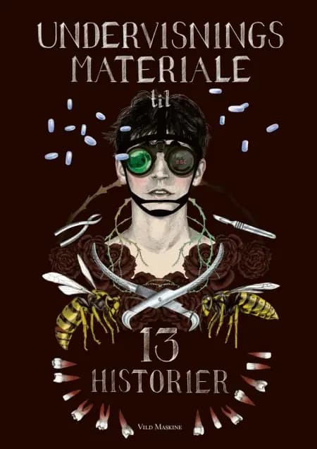 Undervisningsmateriale til 13 HISTORIER af Kia Lundsgaard