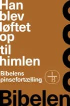 Han blev løftet op til himlen - Bibelens pinsefortælling af Bibelselskabet
