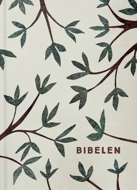 Bibelen i hardback