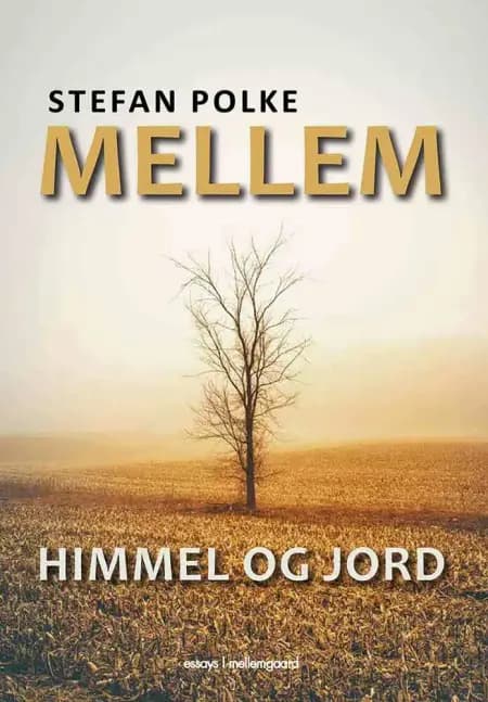 Mellem himmel og jord af Stefan Polke