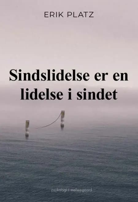 Sindslidelse er en lidelse i sindet af Erik Platz