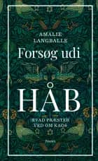 Forsøg udi håb af Amalie Langballe