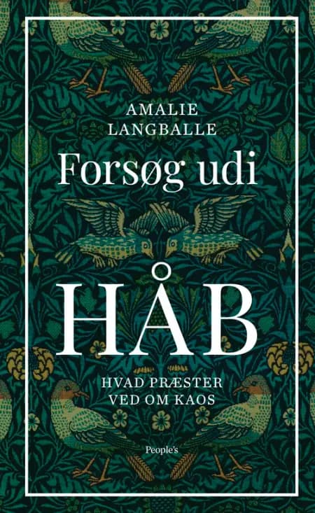 Forsøg udi håb af Amalie Langballe