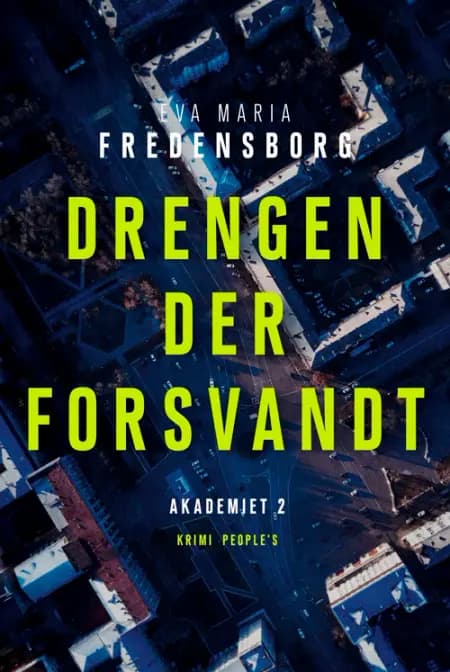 Drengen der forsvandt af Eva Maria Fredensborg