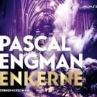 Enkerne af Pascal Engman