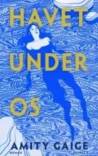 Havet under os af Amity Gaige