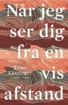 Når jeg ser dig fra en vis afstand af Trine Lundager
