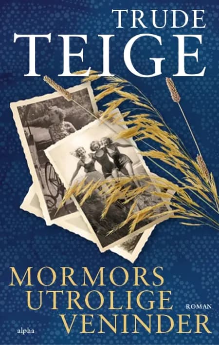 Mormors utrolige veninder af Trude Teige