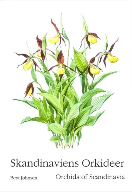 Skandinaviens orkideer af Bent Johnsen