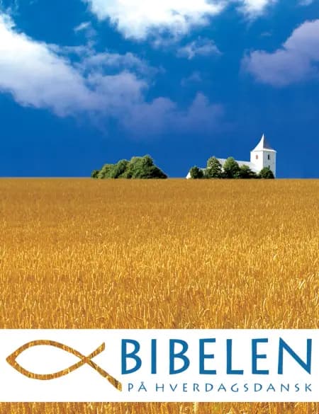 Bibelen på Hverdagsdansk - eBog Edition af Iver Larsen