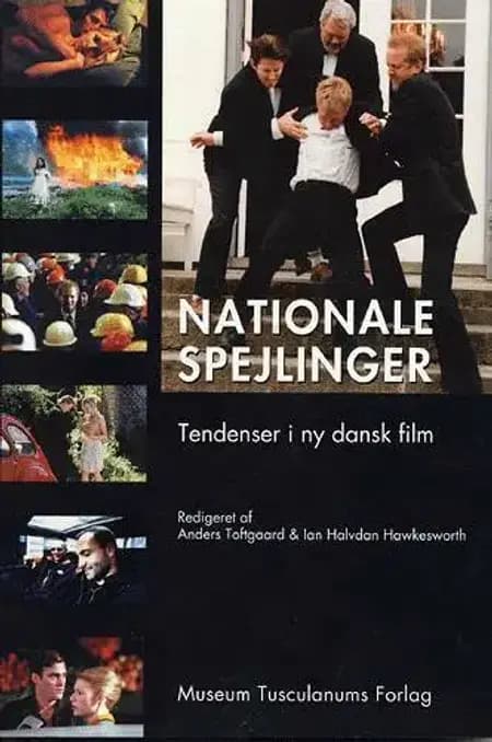 Nationale spejlinger