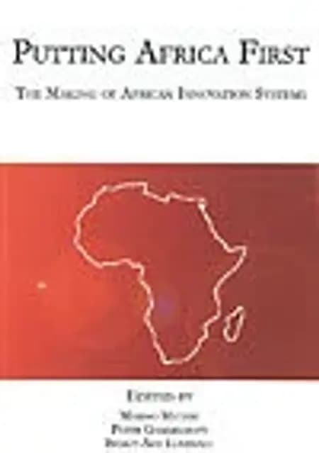 Putting Africa First af Mammo Muchie