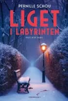 Liget i labyrinten af Pernille Schou