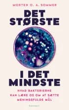 Det største i det mindste af Morten O.A. Sommer